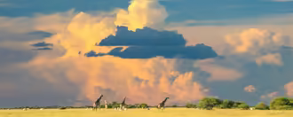 Ten Best Things to Do in botswana