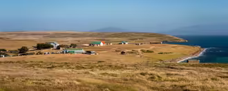 Ten Best Things to Do in Falkland Islands