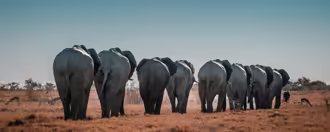 Ten Best Things to Do in Namibia